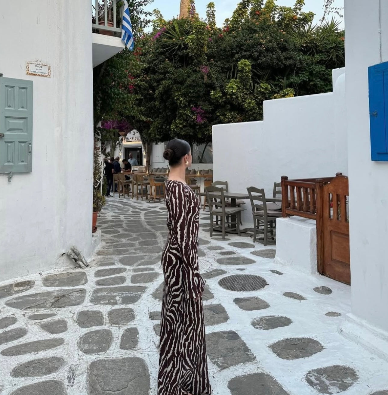 Gia Animal Print Dress